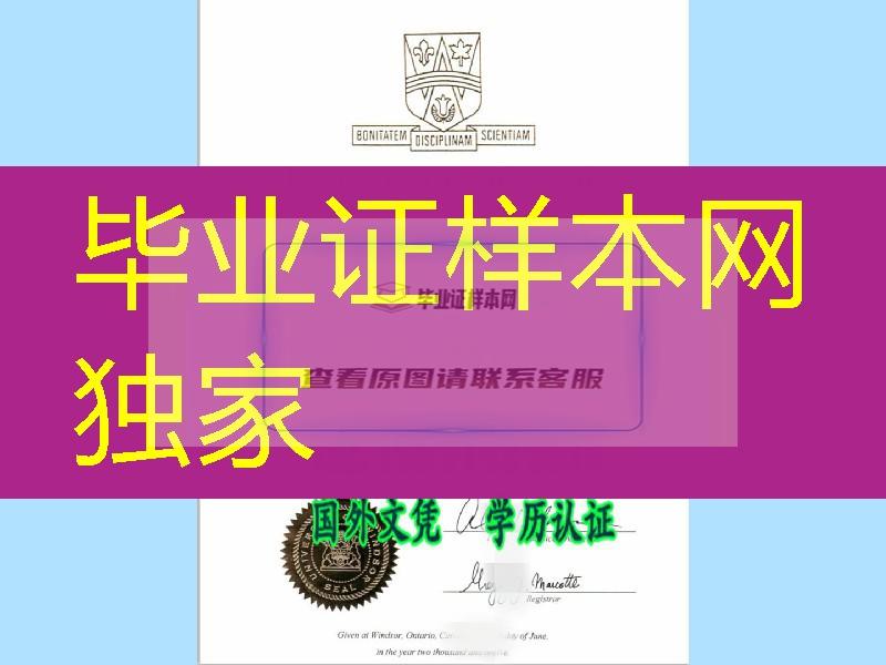 加拿大温莎大学毕业证成绩单扫描件，University of Windsor diploma