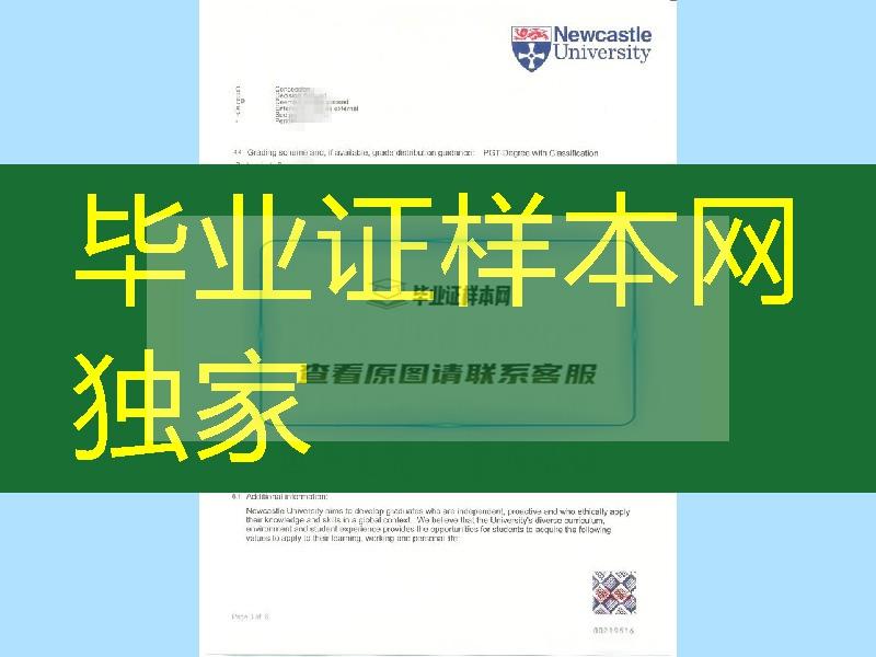 英国纽卡斯尔大学Newcastle University成绩单高清扫描件一套，Newcastle University transcript