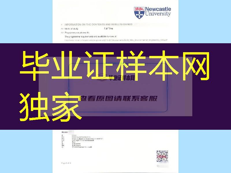 英国纽卡斯尔大学Newcastle University成绩单高清扫描件一套，Newcastle University transcript