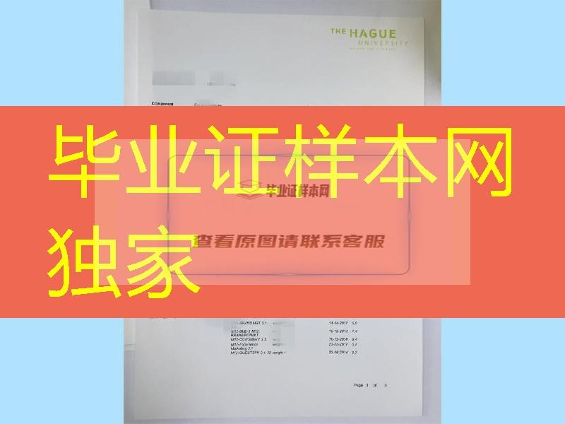 荷兰海牙大学成绩单，Hague University of Applied Sciences transcript