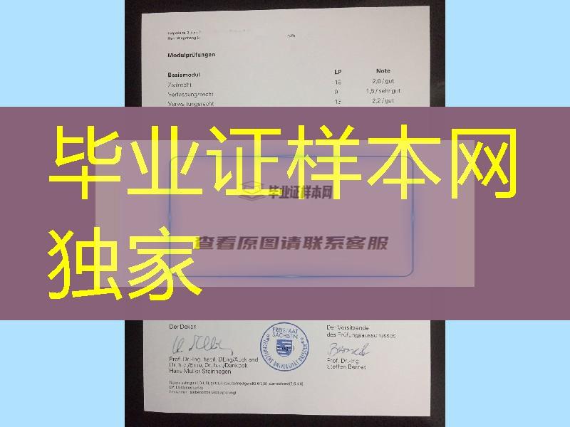 德累斯顿工业大学毕业证学位证，德累斯顿工业大学成绩单