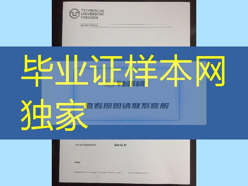 德累斯顿工业大学毕业证学位证，德累斯顿工业大学成绩单