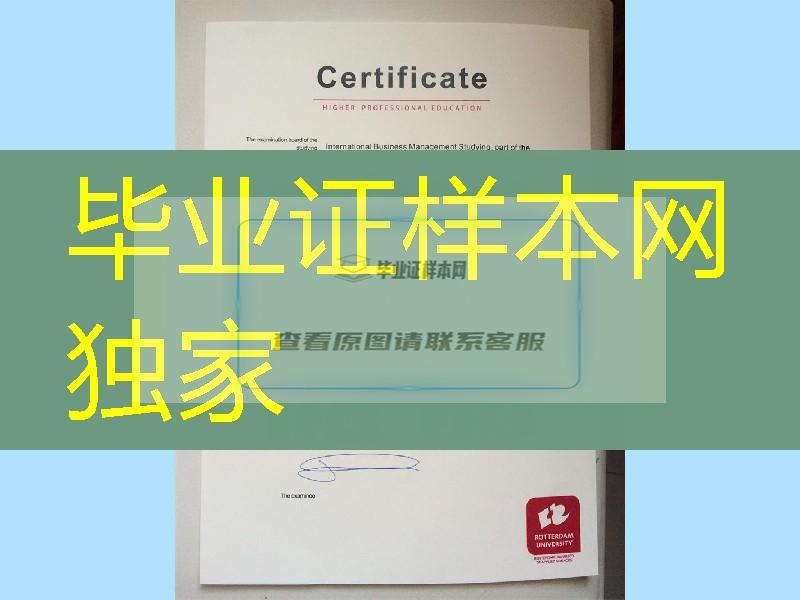 荷兰diploma，办鹿特丹商学院 Rotterdam Business School毕业证样板