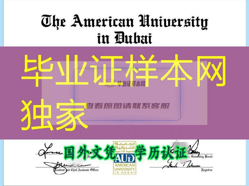 阿联酋迪拜美国大学毕业证,The American University in Dubai diploma