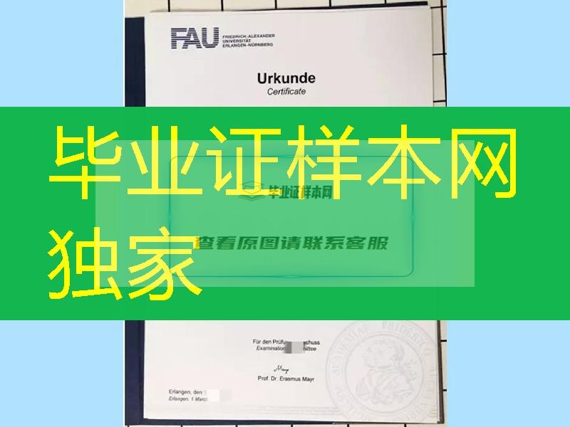 制作德国埃尔朗根-纽伦堡大学毕业证，德国大学毕业证样本