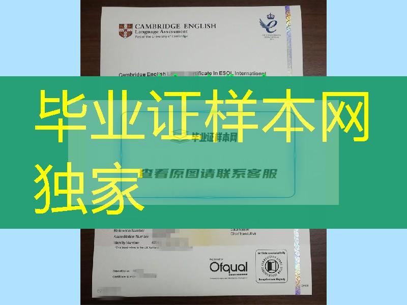 2019年商务英语等级证书B等级,BUSINESS ENGLISH CERTIFICATE