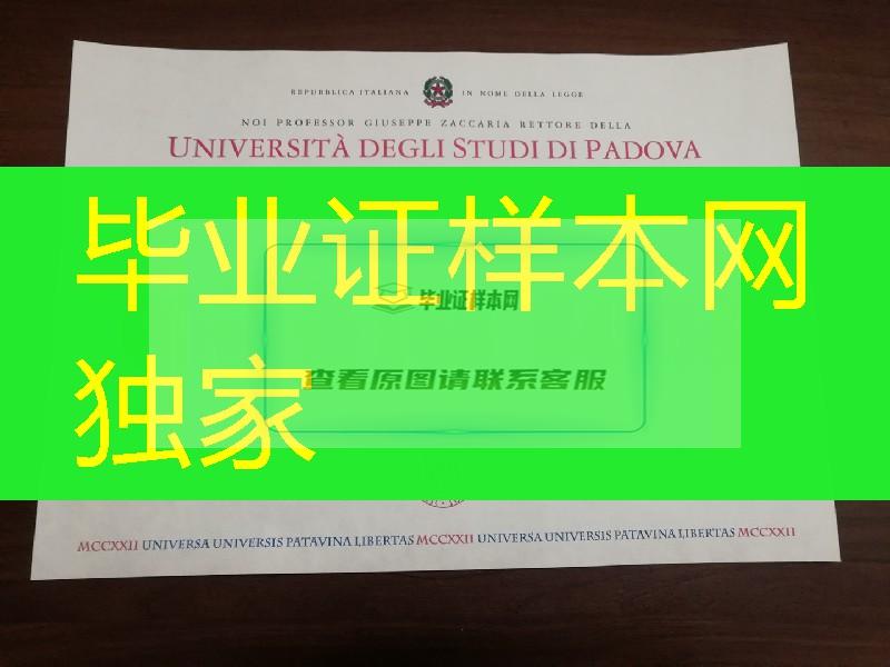 意大利帕多瓦大学毕业证案例，Università degli Studi di Padova diploma degree