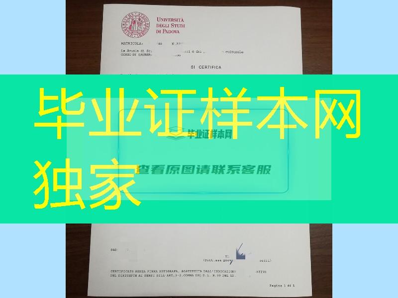 意大利帕多瓦大学成绩单，Università degli Studi di Padova transcript