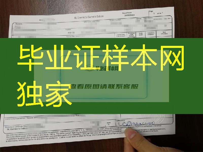 新西兰st dominic's catholic school教会学校高中成绩单，st dominic's catholic school transcript