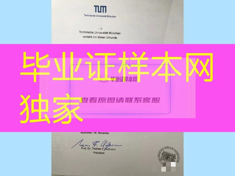 慕尼黑大学毕业证，慕尼黑大学成绩单，德国文凭模版