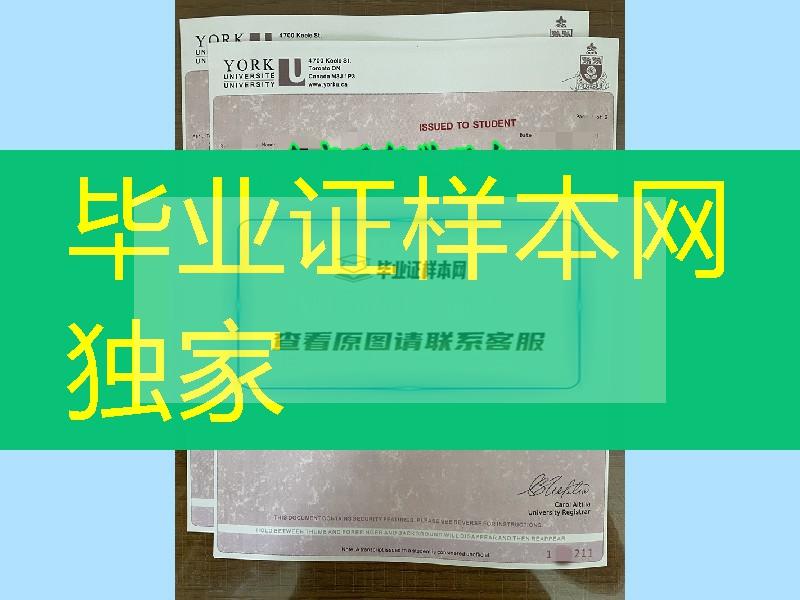 加拿大约克大学成绩单实拍，York University transcript