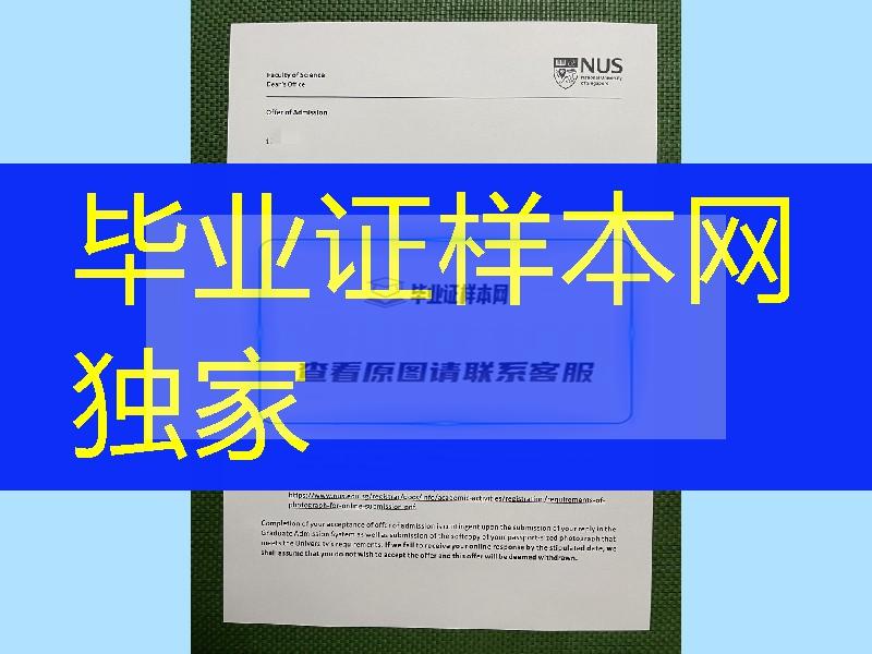 新加坡国立大学录取通知书，National University of Singapore offer letter