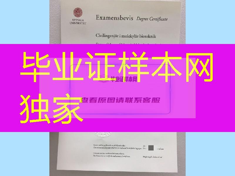 瑞典乌普萨拉大学硕士毕业证，Uppsala University diploma degree