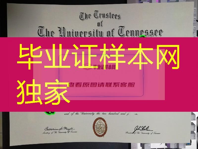 美国田纳西大学毕业证成绩单，美国大学毕业证成绩单补办