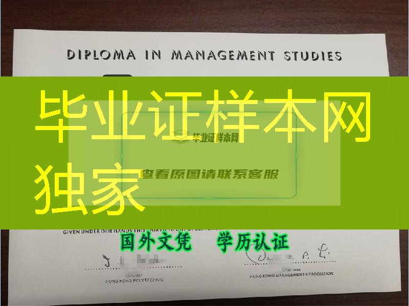 旧版本香港理工学院高级文凭 DIPLOMA IN MANAGEMENT STUDIES