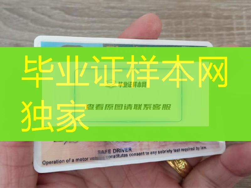 美国佛罗里达州驾驶执照florida driver license,美国驾驶证模型