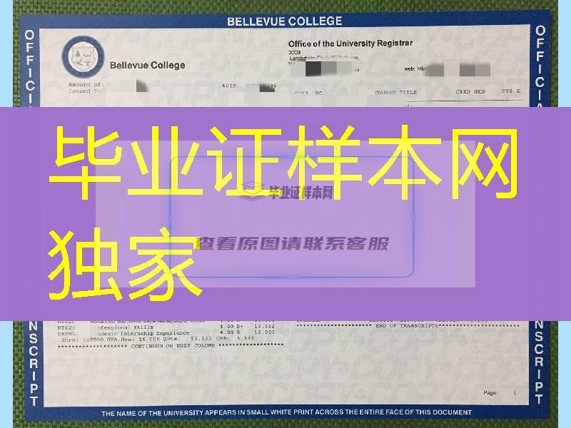 美国贝尔维尤学院成绩单，bellevue college transcript美国大学成绩单定制