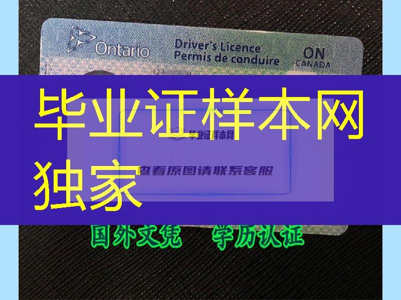 加拿大安省Ontario驾驶执照， Ontario Driving License