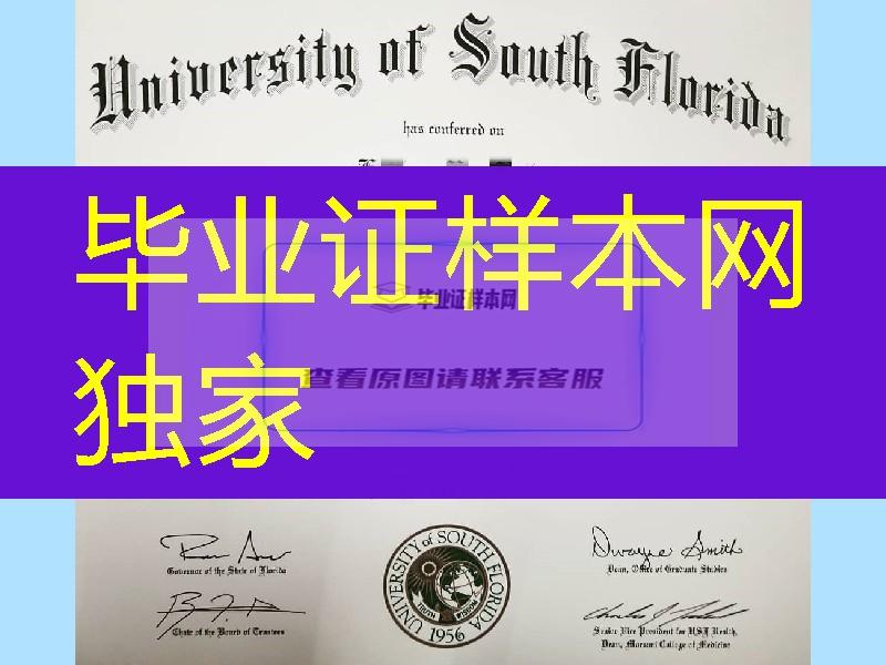 美国南佛罗里达大学毕业证成绩单_university of south florida degree certificate