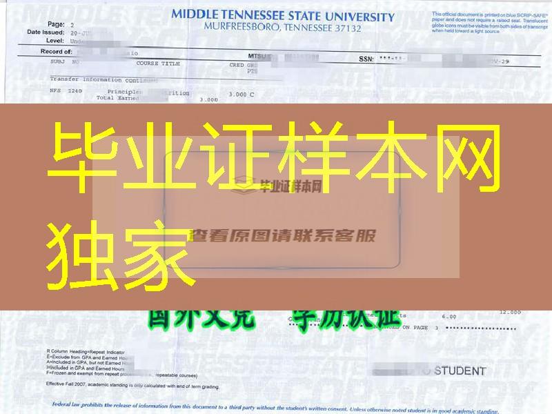 美国中田纳西州立大学Middle Tennessee State University成绩单扫描件