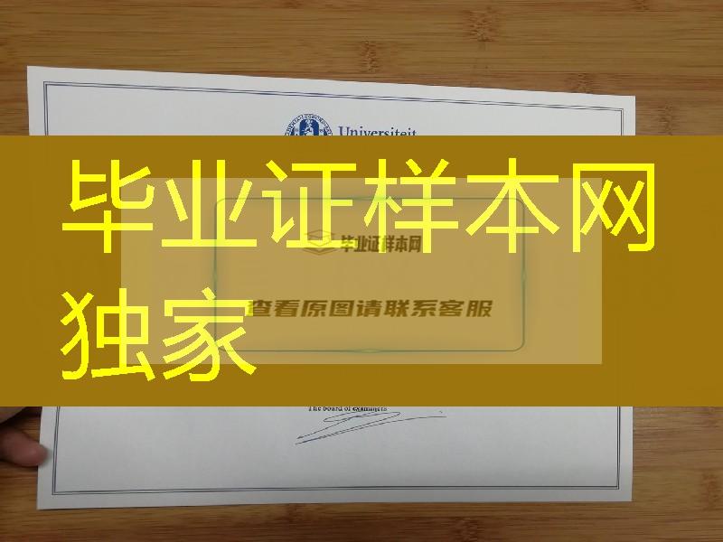 荷兰莱顿大学毕业证范例，LeidenUniversity diploma degree