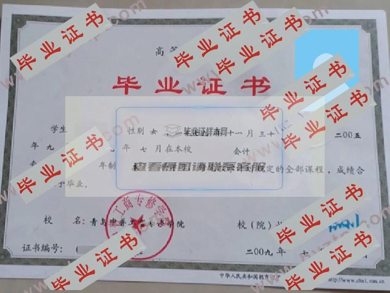 2009年青岛中普工商专修学院毕业证样板图片