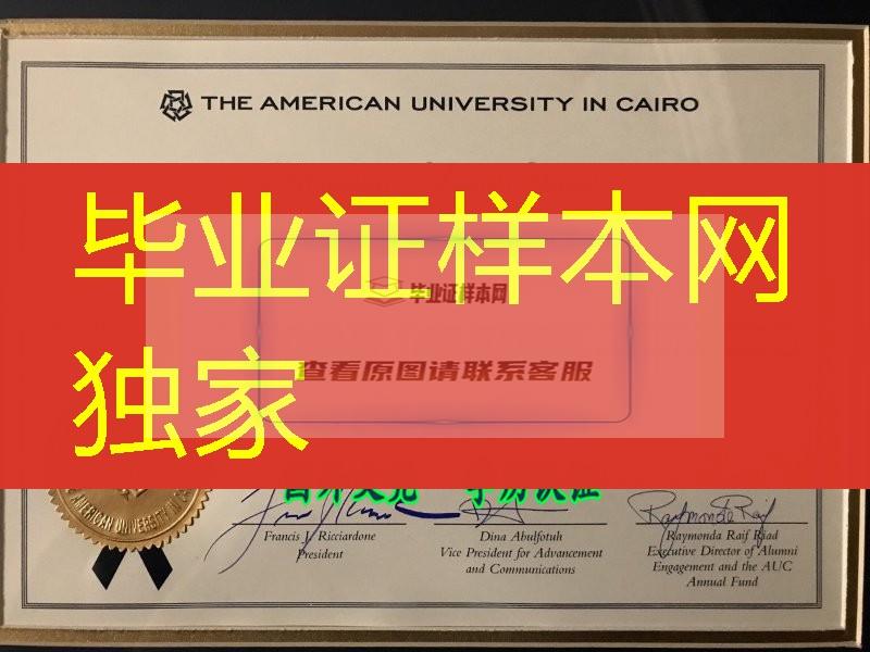 美国大学开罗分校毕业证，The American University in Cairo diploma