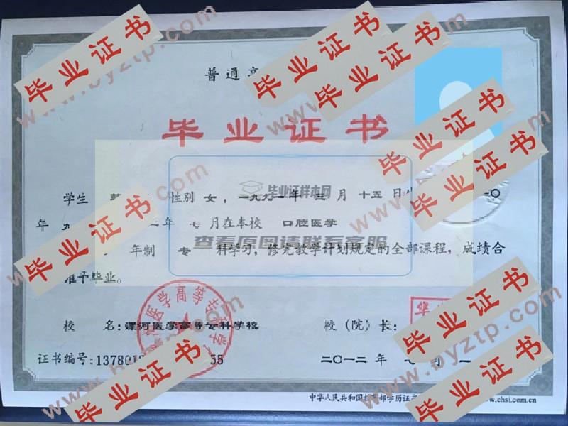 2012年漯河医学高等专科学校毕业证样本图片_模板样式