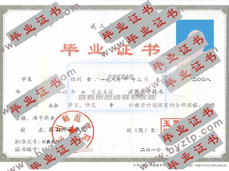 2010年乐山师范学院毕业证样本图片_模板样式