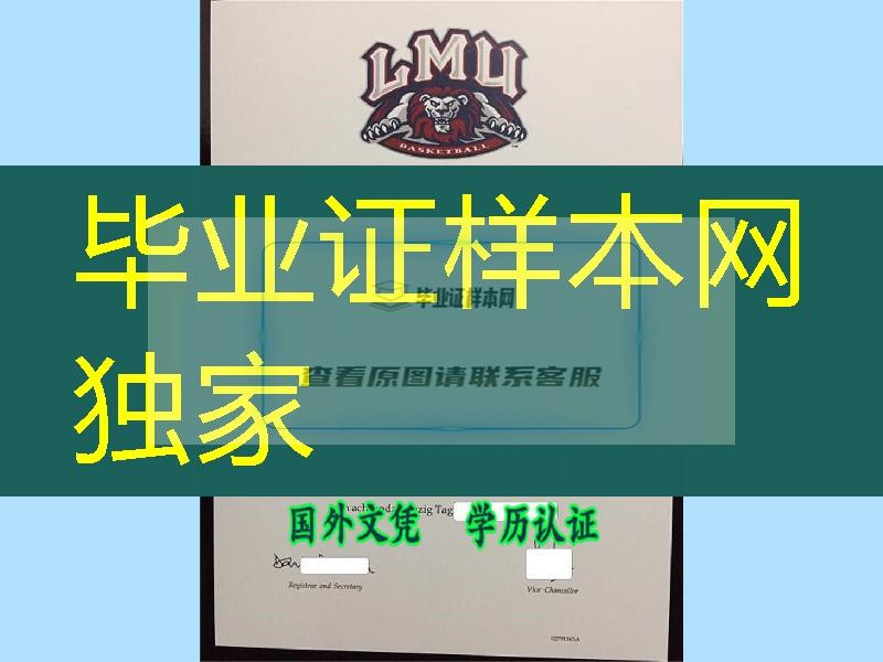 德国慕尼黑大学毕业证实拍，德国文凭，德国大学证书案例