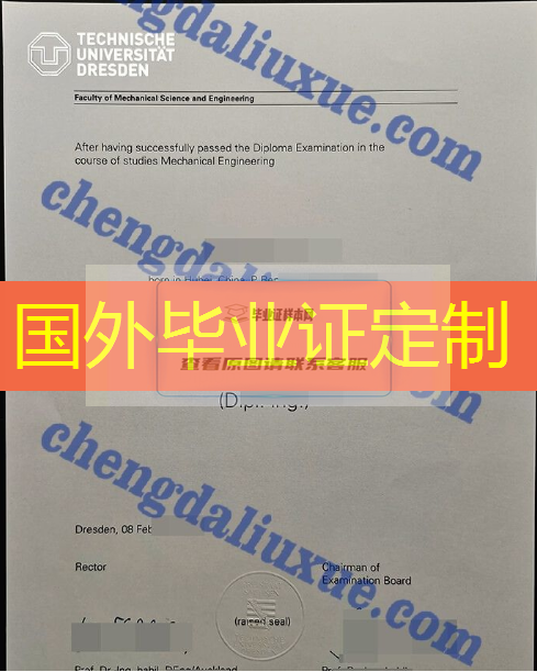 德累斯顿工业大学毕业证图片(德国大学毕业证书模板)