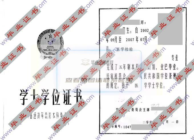 新乡医学院历届毕业证学位证样本