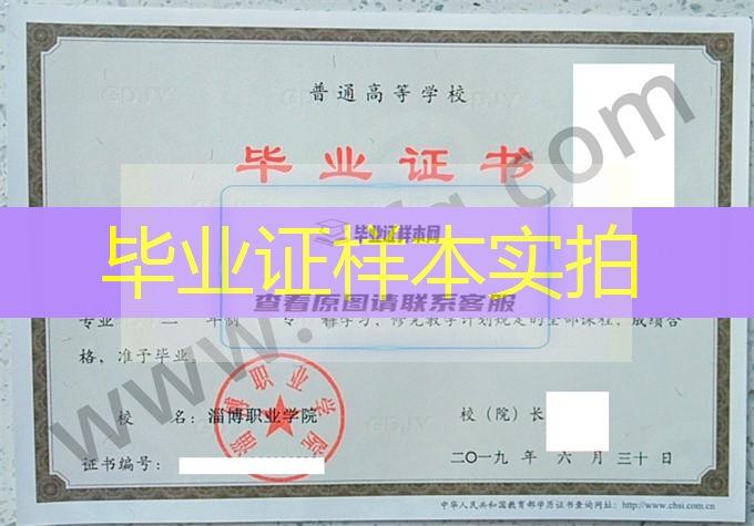 淄博职业学院2019年统招专科毕业证样本（电气自动化技术）