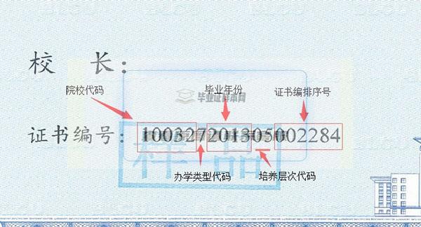 毕业证编号规则