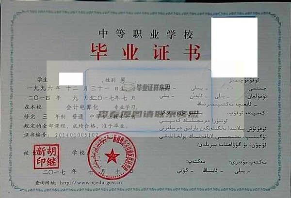 新疆2008年的中专毕业证样本