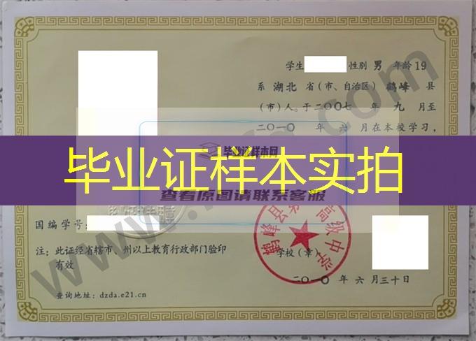鹤峰县第一高级中学2010年高中毕业证样本