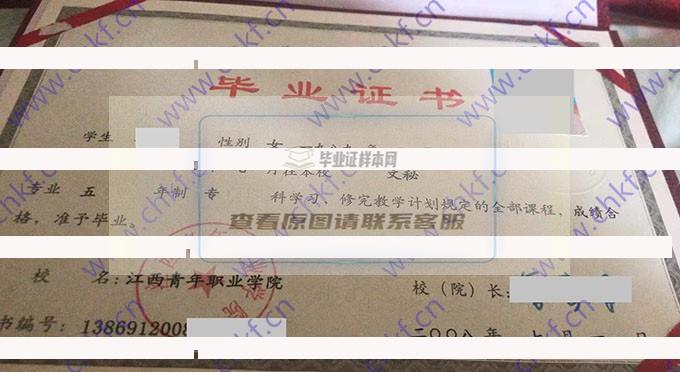 江西青年职业学院2008年大专毕业证样本