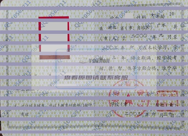 广水市实验高级中学2003年高中毕业证样本