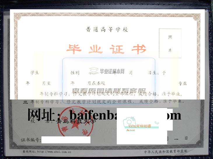 青岛科技大学2009年成人毕业证样本与学位证样本