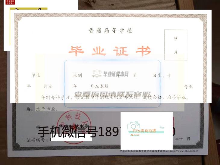 华中科技大学德国总理默克尔访问毕业证样本