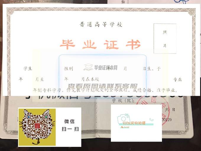 泰山医学院毕业证样本2001年成人图片