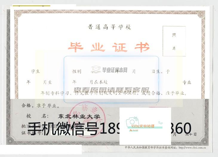 东北林业大学学历证书样式一览