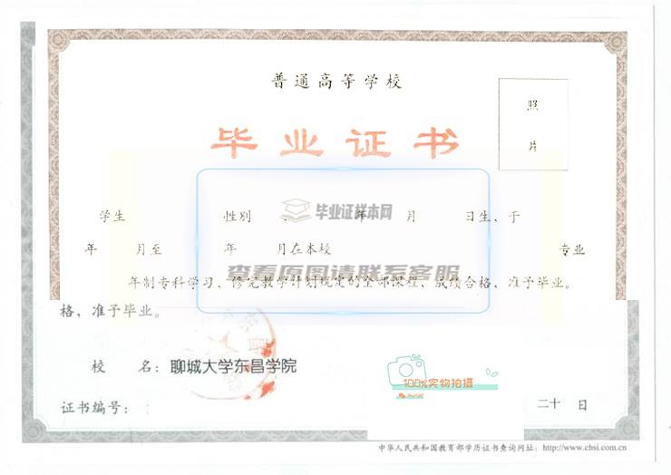 聊城大学东昌学院毕业证书高清样本2009年版图片