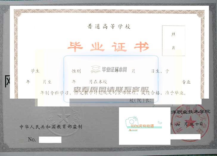 青岛飞扬职院毕业证书样本及学位证书样本一览