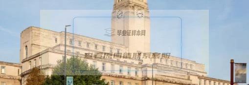 英国利兹大学