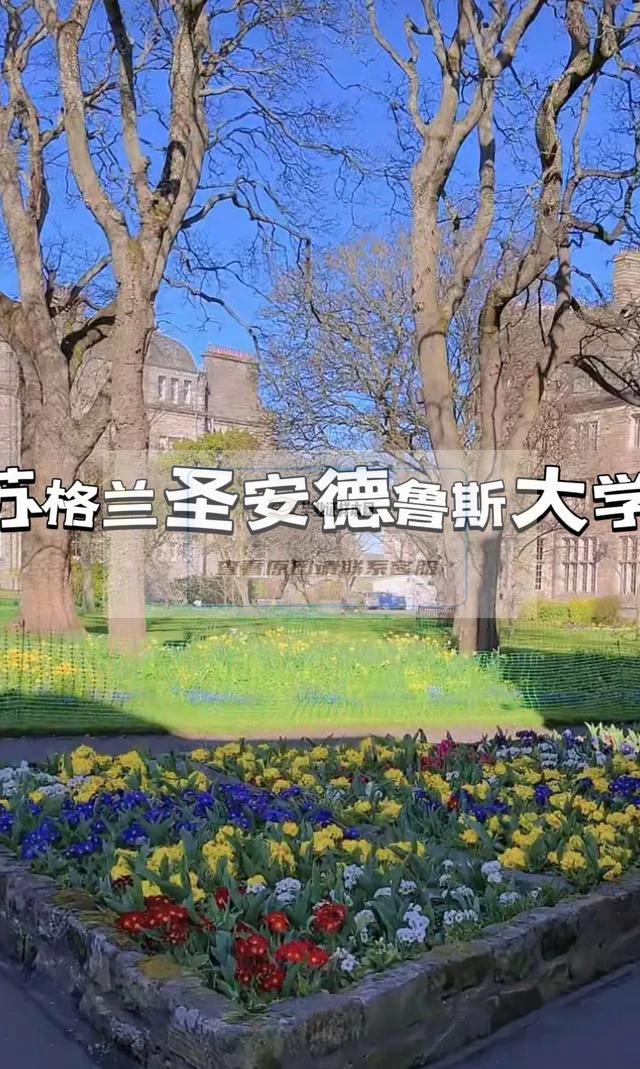 圣安德鲁斯大学