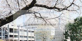 武藏野大学