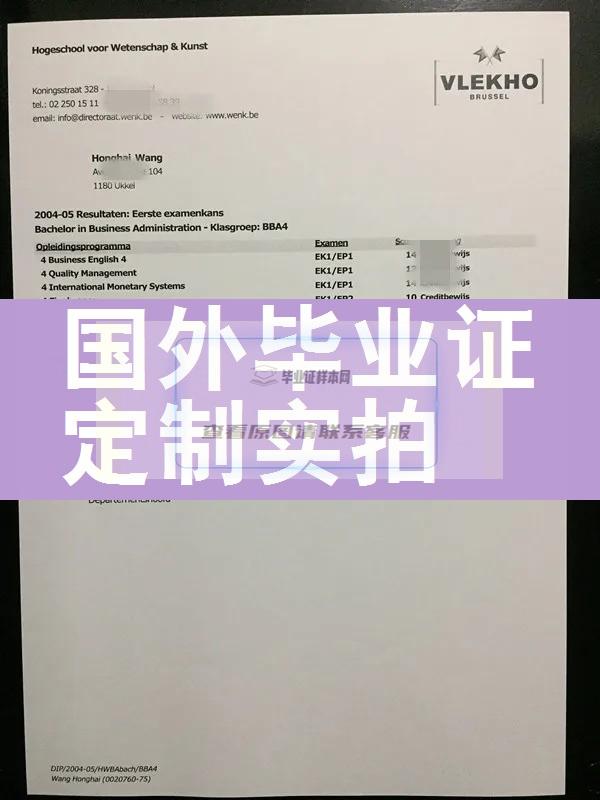 比利时科学艺术大学学院毕业证样本成绩单模板