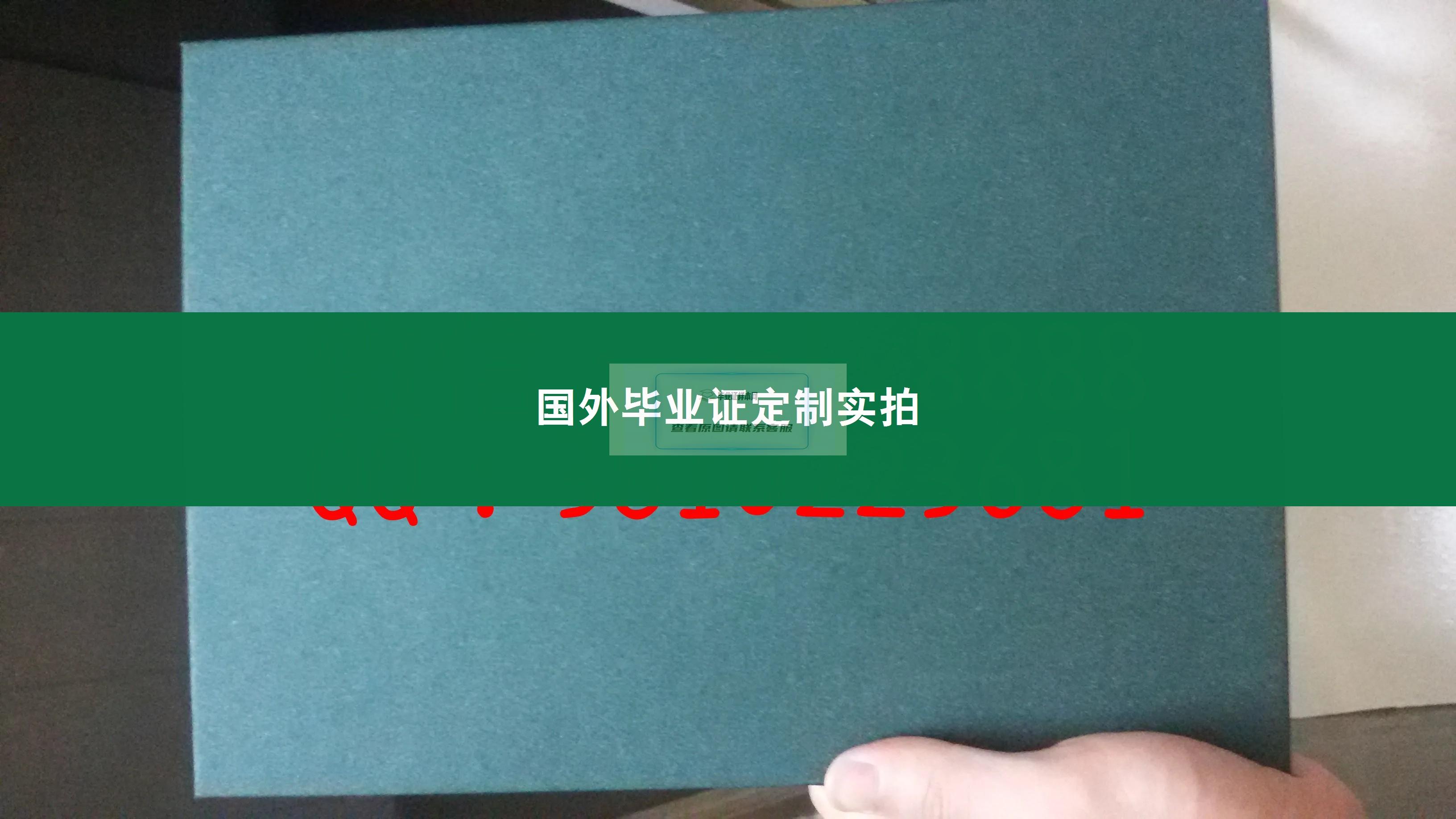 日本经济大学毕业证样本成绩单模板