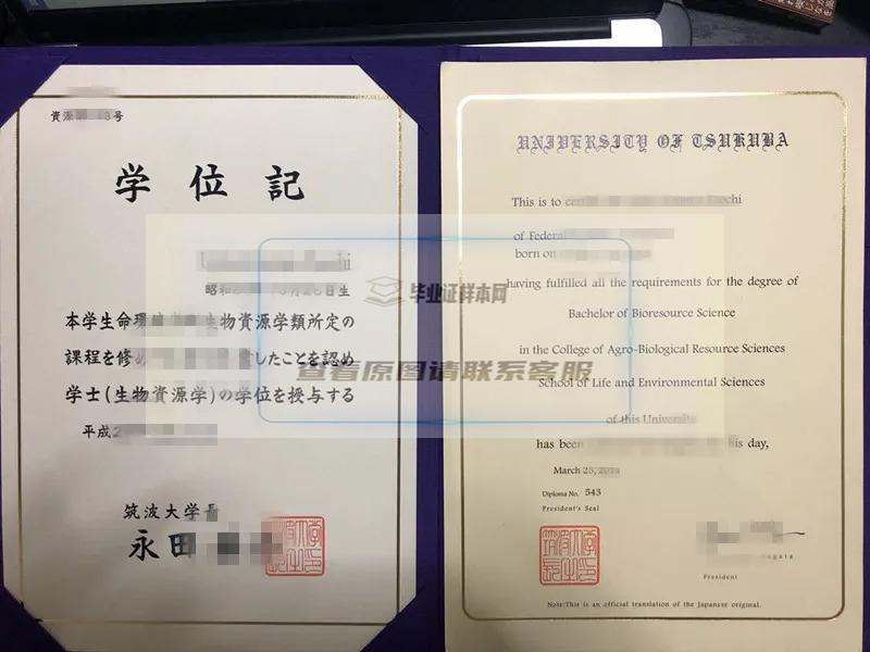 筑波大学毕业证样本成绩单模板